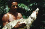 Guamá: allevamento di coccodrilli