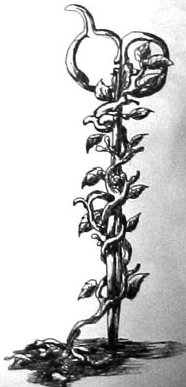 Dibujo: Ray Respall Rojas