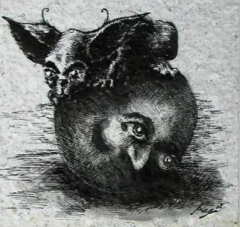 Dibujo de Ray Respall Rojas